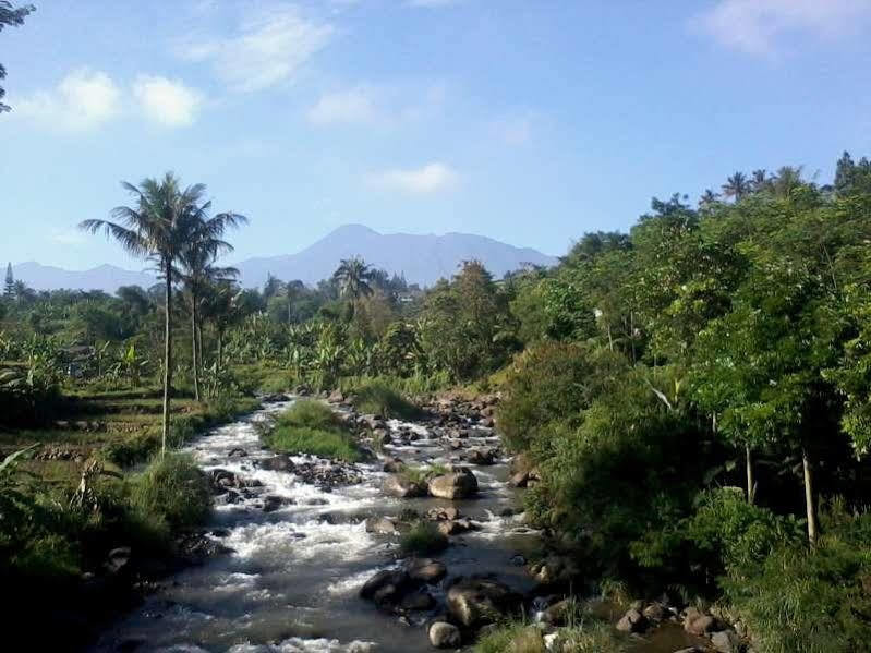 Taman Teratai Hotel